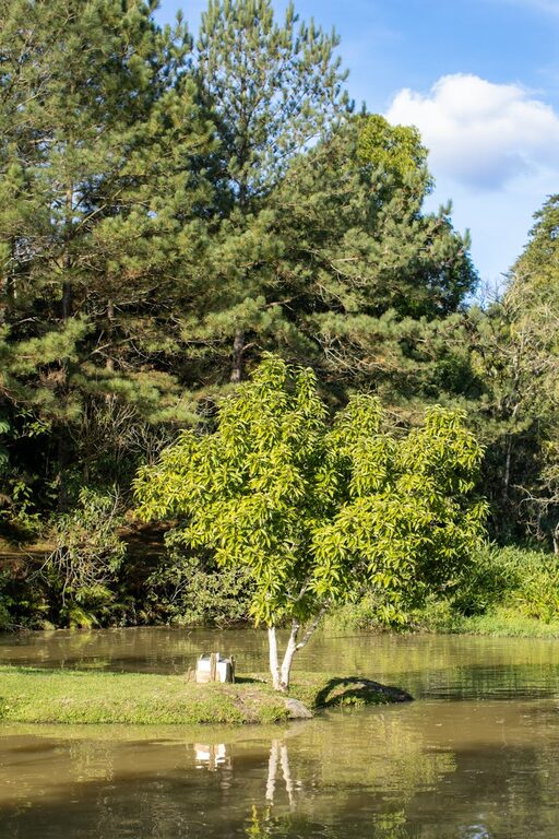 Mindful Breaks You Can Take in Five Minutes to Refresh Your Day